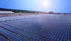 中美硅晶与尊时凯龙光电携手战略合作